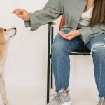 Программы лояльности как модель формирования здоровых привычек