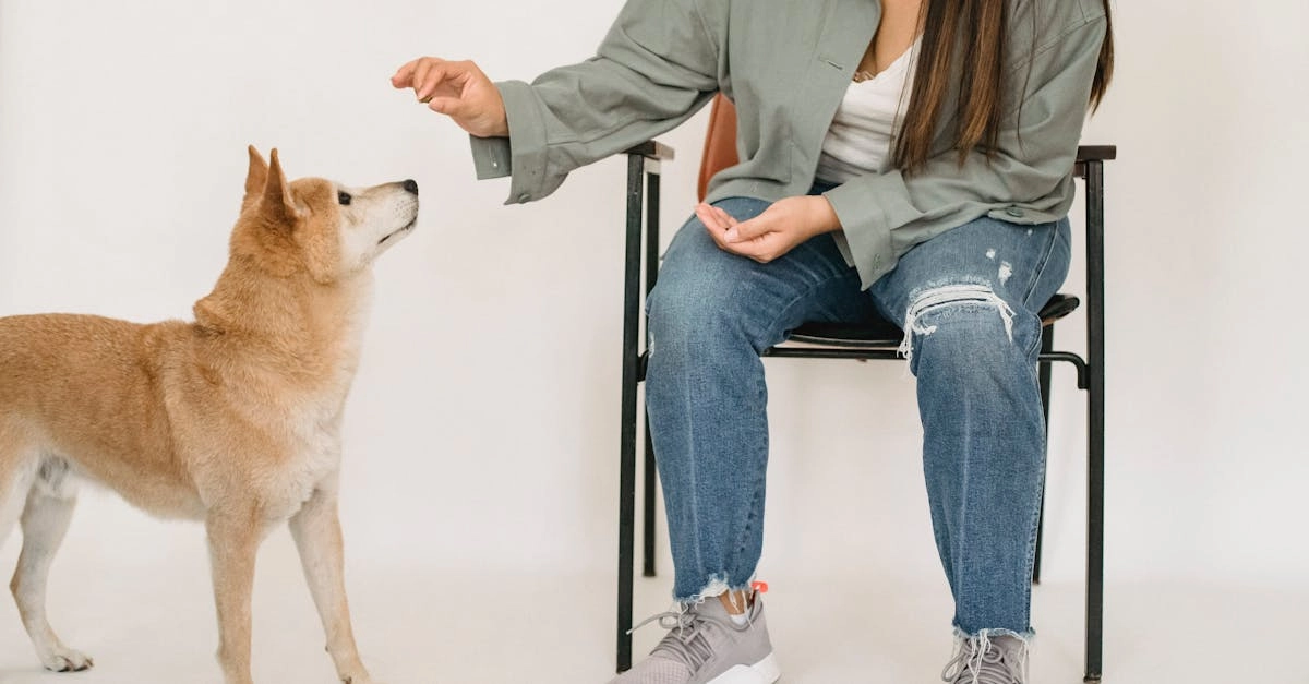 Программы лояльности как модель формирования здоровых привычек