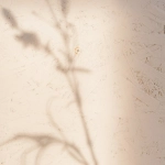 Карты блэкджек для тренировки когнитивных способностей