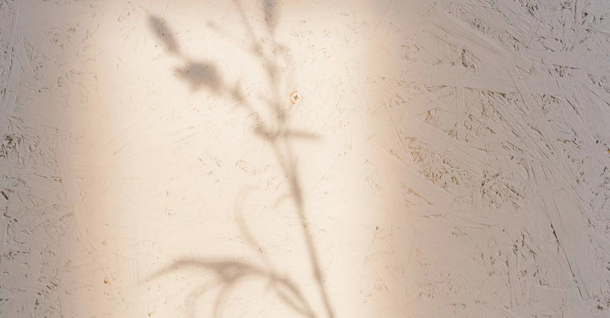 Карты блэкджек для тренировки когнитивных способностей